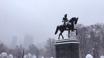 Snowy morning in Boston 