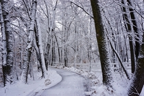 Snowy path in Minnesota 