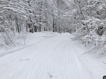 Snowy trail in Tug hill NY