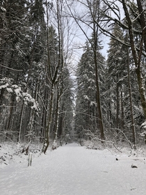 Snowy Trails - Vancouver BC Canada 