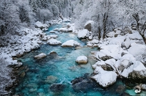 Soca the most beautiful river in Slovenia captured on a cold winter morning after a fresh snowfall  photo by Luka Esenko