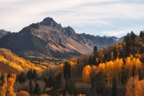 Some beautiful fall colors at the start of October in the San Juan Mountains 