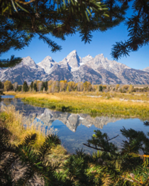 Some beautiful views are easily accessible like this one at Grand Teton National Park  ignatureprofessor