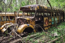 Some old buses ditched in the woods  