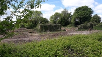 Some undergrowth was cleared near me revealing the remains some nearly  year old farm buildings