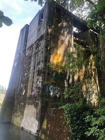 Some unknown ruin on the banks of the Willamette
