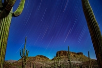 Sonoran Desert at night OC 