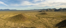 Sonoran Desert panorama in the spring 