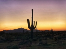 Sonoran Desert sunset Cave Creek AZ   x 
