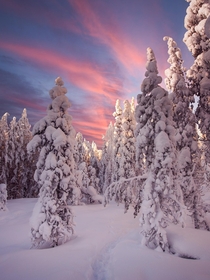 Soon it will be winter again Temps already dipping below zero Photo is from last year in Rovaniemi 