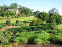 South Carolina Botanical Garden - Clemson SC 
