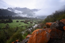 South Island New Zealand road tripping through the fog OC 