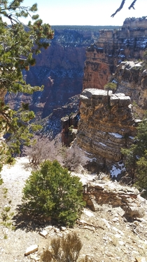 South Rim of the Grand Canyon AZ 