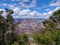 South Rim Peeking Grand Canyon AZ 