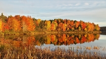 Spectacular Fall Color - Nova Scotia Canada - 