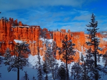 Spending my birthday inside Bryce Canyon after last weeks blizzard 
