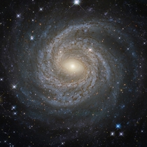 Spiral galaxy NGC  