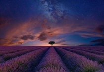 Spirit of the Universe by photographer Peter Lik