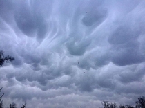 Spotted some rare Mammatus clouds outside my house RVA 