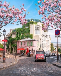 Spring blossoms decorate the streets of Montmartre Paris