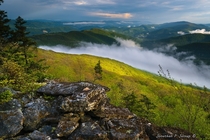 Spring color and fog in the Allegheny Mountains 
