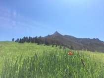 Spring in Boulder CO 