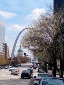 Spring is here downtown St louis Mo