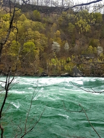 Spring waters of Niagara River 