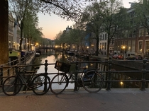 Springtime in Amsterdam at  AM