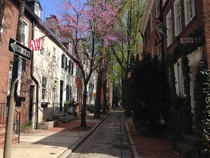 Springtime in Philadelphia 