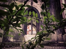 St Dunstan London  Ruined church with small near main entrance To take these I cut my hand amp got late for a walk sorry Nes If you ever stop by good luck with finding a peaceful moment thou this place is disturbed often by insta-model-girls  Still worth 
