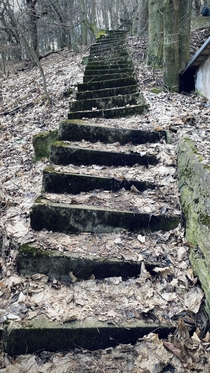 Stairs to an abandoned little house near a psychiatry hospital kind if gave up now all crooked