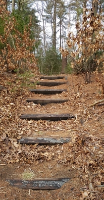Stairs to an Old Park on my Street
