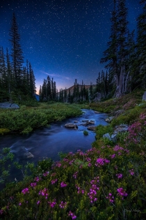 Stars Above a little stream in Olympic National Park WA  Photo by David Hodge xpost from rUnitedStatesofAmerica