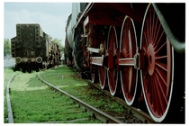 Steam locomotives rusting away