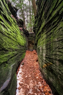 Stepping back in time at Cuyahoga Valley National Park Virginia Kendall Ledges 