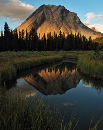 Still evening deep in the Canadian Rockies backcountry Banff National Park 