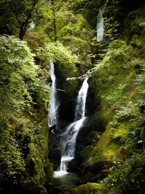 Stock Ghyll Force Ambleside The Lake District UK 