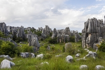 Stone Forest Yunnan China 