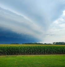 Storm front moving over my rural Indiana cornfield 