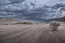 Storm gusting in the sand dunes of Colorado 