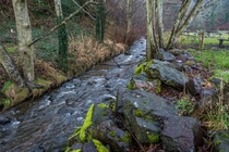 Stream at Saltwater State Park in Washington State 