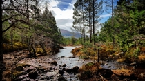 Stream flowing into Loch an Eilein Scotland 