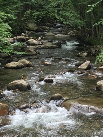 Stream in the Smoky Mountains 