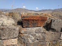 Stunning orange lichen on this stone carving from a ruined fifth century Armenian mausoleum