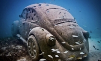 Submerged Car taken over by a school of fish