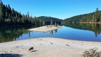 Sugar Pine Reservoir in the Sierra foothills California OCx