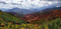 Summer Meets Fall in American Fork Canyon Utah 