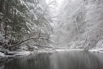 Summer swimming hole dressed in winter white - Ithaca NY OC