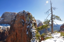 Summiting a snowcapped Angels Landing in Zion National Park UT 